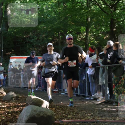 28.09.2025 - 33. Volkslauf durch das schöne Alstertal Strokosch-Dieckow http://msf.ph/oto/8972663 28.09.2025 12:03:05 Ziel 1664, 1671, 2607 meine-sportfotos.de