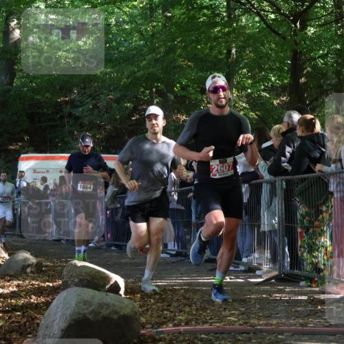 28.09.2025 - 33. Volkslauf durch das schöne Alstertal Strokosch-Dieckow http://msf.ph/oto/8972664 28.09.2025 12:03:05 Ziel 1664, 1671, 2607 meine-sportfotos.de