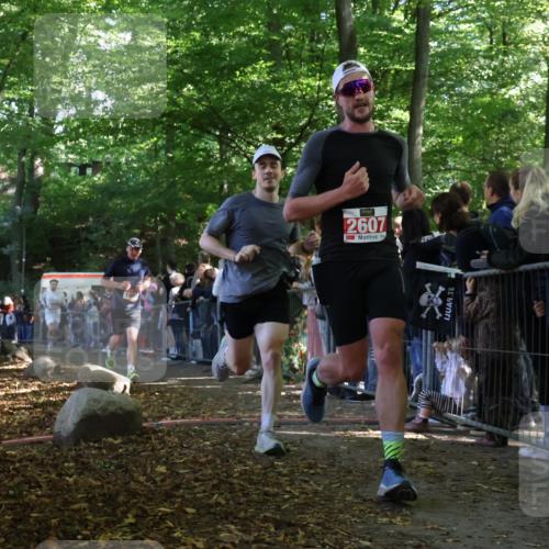 28.09.2025 - 33. Volkslauf durch das schöne Alstertal Strokosch-Dieckow http://msf.ph/oto/8972667 28.09.2025 12:03:06 Ziel 1664, 1671, 2607 meine-sportfotos.de