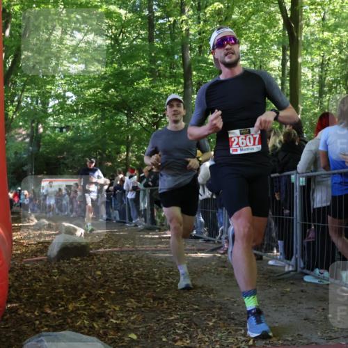 28.09.2025 - 33. Volkslauf durch das schöne Alstertal Strokosch-Dieckow http://msf.ph/oto/8972668 28.09.2025 12:03:07 Ziel 1047, 1664, 1671, 2607 meine-sportfotos.de