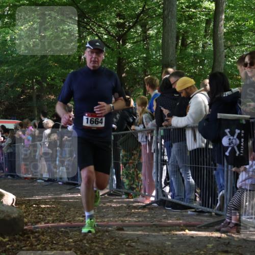 28.09.2025 - 33. Volkslauf durch das schöne Alstertal Strokosch-Dieckow http://msf.ph/oto/8972670 28.09.2025 12:03:08 Ziel 1047, 1664, 1671, 2534 meine-sportfotos.de