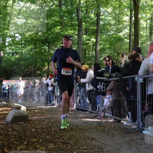 28.09.2025 - 33. Volkslauf durch das schöne Alstertal Strokosch-Dieckow http://msf.ph/oto/8972671 28.09.2025 12:03:09 Ziel 1047, 1664, 1671, 2534 meine-sportfotos.de