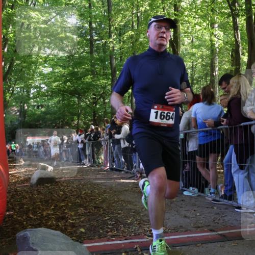 28.09.2025 - 33. Volkslauf durch das schöne Alstertal Strokosch-Dieckow http://msf.ph/oto/8972674 28.09.2025 12:03:10 Ziel 1047, 1664, 1671, 2534 meine-sportfotos.de
