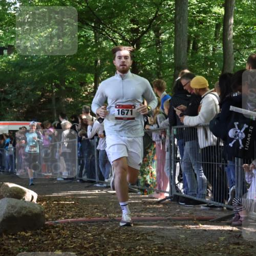 28.09.2025 - 33. Volkslauf durch das schöne Alstertal Strokosch-Dieckow http://msf.ph/oto/8972678 28.09.2025 12:03:12 Ziel 1047, 1671, 2534 meine-sportfotos.de