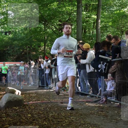 28.09.2025 - 33. Volkslauf durch das schöne Alstertal Strokosch-Dieckow http://msf.ph/oto/8972679 28.09.2025 12:03:12 Ziel 1047, 1671, 2534 meine-sportfotos.de