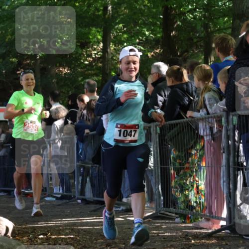 28.09.2025 - 33. Volkslauf durch das schöne Alstertal Strokosch-Dieckow http://msf.ph/oto/8972682 28.09.2025 12:03:15 Ziel 1047, 1060, 2149, 2276, 2534 meine-sportfotos.de