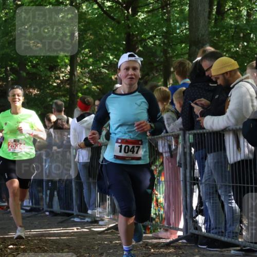 28.09.2025 - 33. Volkslauf durch das schöne Alstertal Strokosch-Dieckow http://msf.ph/oto/8972683 28.09.2025 12:03:15 Ziel 1047, 1060, 2149, 2276, 2534 meine-sportfotos.de