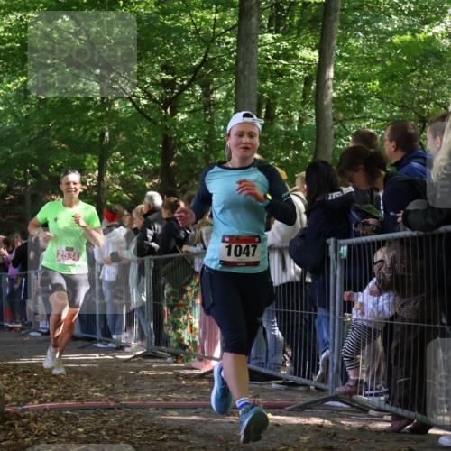 28.09.2025 - 33. Volkslauf durch das schöne Alstertal Strokosch-Dieckow http://msf.ph/oto/8972684 28.09.2025 12:03:16 Ziel 1047, 1060, 2149, 2276, 2534 meine-sportfotos.de