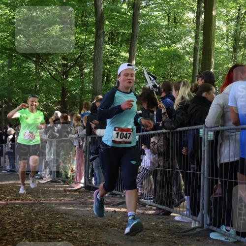 28.09.2025 - 33. Volkslauf durch das schöne Alstertal Strokosch-Dieckow http://msf.ph/oto/8972685 28.09.2025 12:03:16 Ziel 1047, 1060, 2149, 2276, 2534 meine-sportfotos.de