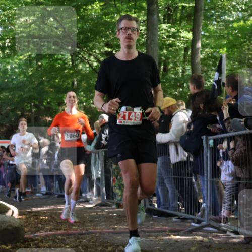 28.09.2025 - 33. Volkslauf durch das schöne Alstertal Strokosch-Dieckow http://msf.ph/oto/8972690 28.09.2025 12:03:22 Ziel 1032, 1060, 2149, 2276 meine-sportfotos.de