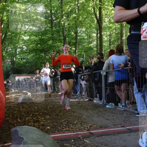 28.09.2025 - 33. Volkslauf durch das schöne Alstertal Strokosch-Dieckow http://msf.ph/oto/8972693 28.09.2025 12:03:23 Ziel 1032, 1060, 2149, 2276 meine-sportfotos.de