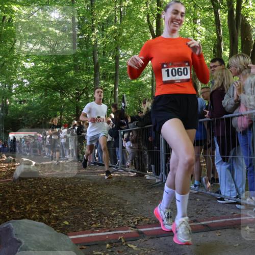 28.09.2025 - 33. Volkslauf durch das schöne Alstertal Strokosch-Dieckow http://msf.ph/oto/8972695 28.09.2025 12:03:24 Ziel 1032, 1060, 2276 meine-sportfotos.de