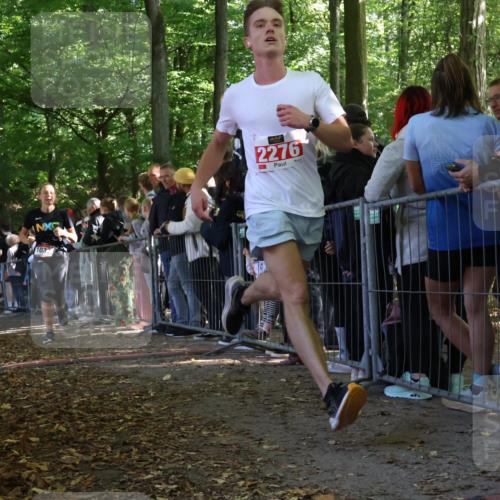 28.09.2025 - 33. Volkslauf durch das schöne Alstertal Strokosch-Dieckow http://msf.ph/oto/8972696 28.09.2025 12:03:24 Ziel 1032, 1060, 2276 meine-sportfotos.de