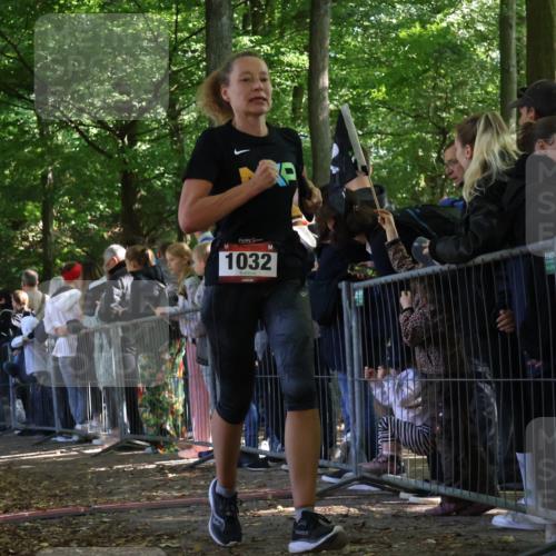 28.09.2025 - 33. Volkslauf durch das schöne Alstertal Strokosch-Dieckow http://msf.ph/oto/8972697 28.09.2025 12:03:26 Ziel 1032 meine-sportfotos.de