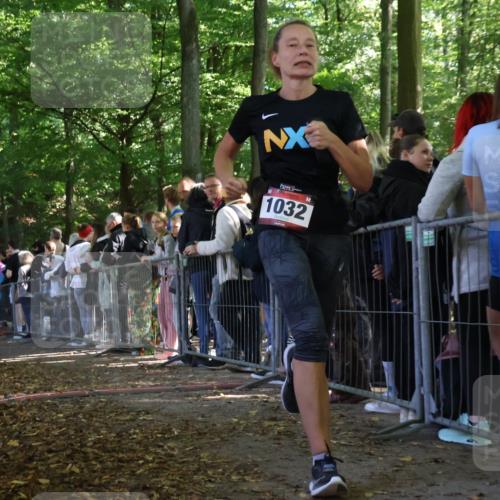 28.09.2025 - 33. Volkslauf durch das schöne Alstertal Strokosch-Dieckow http://msf.ph/oto/8972698 28.09.2025 12:03:26 Ziel 1032 meine-sportfotos.de