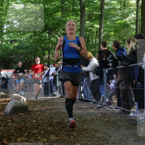 28.09.2025 - 33. Volkslauf durch das schöne Alstertal Strokosch-Dieckow http://msf.ph/oto/8972701 28.09.2025 12:03:40 Ziel 1038, 1045, 1712, 2453, 2500 meine-sportfotos.de