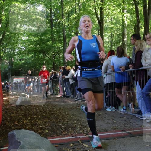 28.09.2025 - 33. Volkslauf durch das schöne Alstertal Strokosch-Dieckow http://msf.ph/oto/8972703 28.09.2025 12:03:41 Ziel 1038, 1045, 1712, 2453, 2500, 2605 meine-sportfotos.de