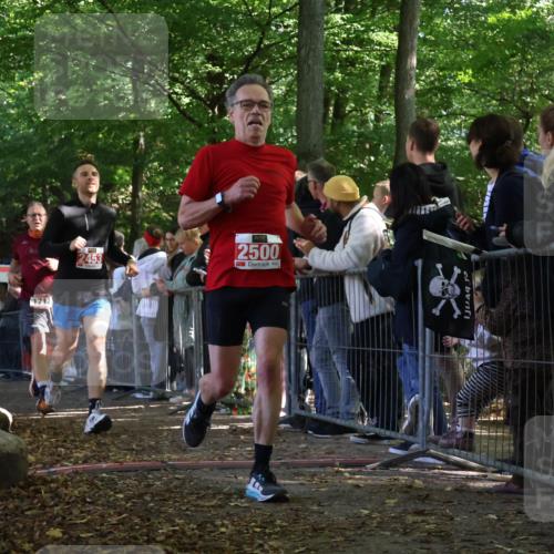 28.09.2025 - 33. Volkslauf durch das schöne Alstertal Strokosch-Dieckow http://msf.ph/oto/8972704 28.09.2025 12:03:42 Ziel 1038, 1712, 2453, 2500, 2605 meine-sportfotos.de