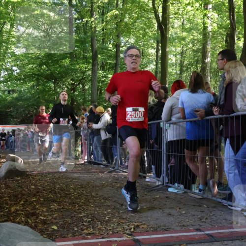 28.09.2025 - 33. Volkslauf durch das schöne Alstertal Strokosch-Dieckow http://msf.ph/oto/8972705 28.09.2025 12:03:42 Ziel 1038, 1712, 2453, 2500, 2605 meine-sportfotos.de