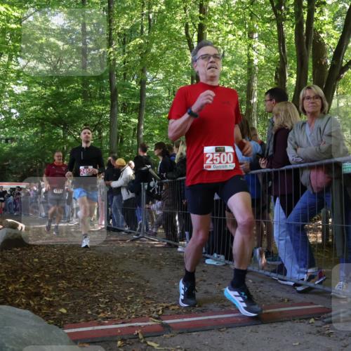 28.09.2025 - 33. Volkslauf durch das schöne Alstertal Strokosch-Dieckow http://msf.ph/oto/8972706 28.09.2025 12:03:43 Ziel 1038, 1681, 1712, 2453, 2500, 2605 meine-sportfotos.de