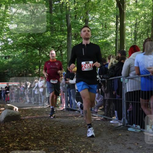 28.09.2025 - 33. Volkslauf durch das schöne Alstertal Strokosch-Dieckow http://msf.ph/oto/8972707 28.09.2025 12:03:43 Ziel 1038, 1681, 1712, 2453, 2500, 2605 meine-sportfotos.de