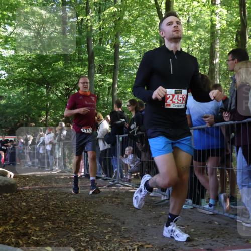 28.09.2025 - 33. Volkslauf durch das schöne Alstertal Strokosch-Dieckow http://msf.ph/oto/8972708 28.09.2025 12:03:44 Ziel 1038, 1681, 1712, 2453, 2605, 2645 meine-sportfotos.de