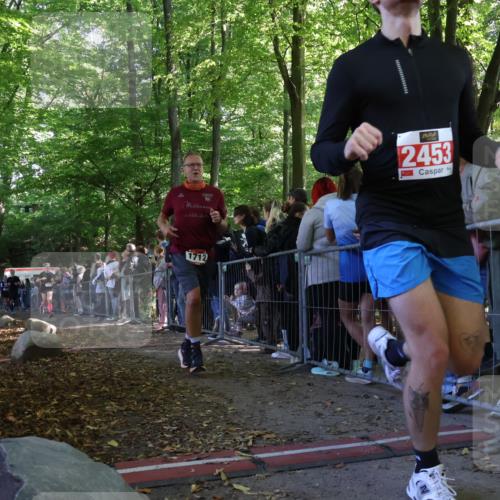 28.09.2025 - 33. Volkslauf durch das schöne Alstertal Strokosch-Dieckow http://msf.ph/oto/8972709 28.09.2025 12:03:44 Ziel 1038, 1681, 1712, 2453, 2605, 2645 meine-sportfotos.de
