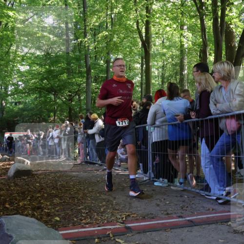 28.09.2025 - 33. Volkslauf durch das schöne Alstertal Strokosch-Dieckow http://msf.ph/oto/8972710 28.09.2025 12:03:45 Ziel 1038, 1681, 1712, 2605, 2645 meine-sportfotos.de