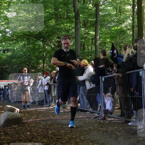 28.09.2025 - 33. Volkslauf durch das schöne Alstertal Strokosch-Dieckow http://msf.ph/oto/8972718 28.09.2025 12:03:50 Ziel 1038, 1681, 2248, 2605, 2645 meine-sportfotos.de