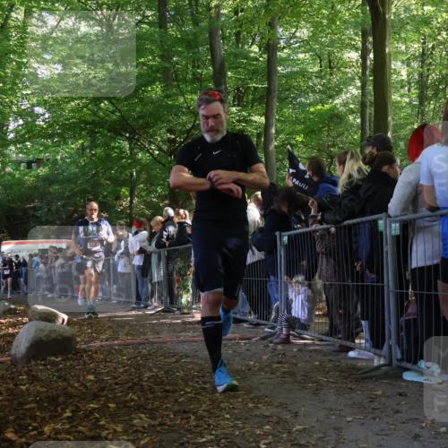 28.09.2025 - 33. Volkslauf durch das schöne Alstertal Strokosch-Dieckow http://msf.ph/oto/8972719 28.09.2025 12:03:50 Ziel 1038, 1681, 2248, 2605, 2645 meine-sportfotos.de