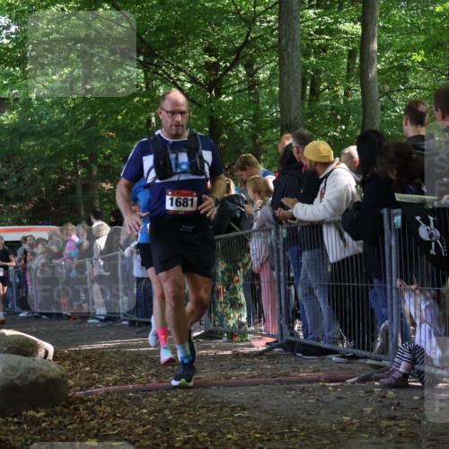28.09.2025 - 33. Volkslauf durch das schöne Alstertal Strokosch-Dieckow http://msf.ph/oto/8972722 28.09.2025 12:03:52 Ziel 1681, 2248, 2347, 2645 meine-sportfotos.de