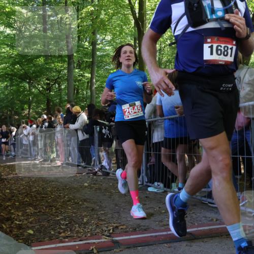 28.09.2025 - 33. Volkslauf durch das schöne Alstertal Strokosch-Dieckow http://msf.ph/oto/8972727 28.09.2025 12:03:54 Ziel 2248, 2347, 2645 meine-sportfotos.de
