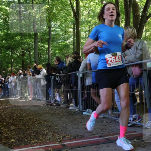28.09.2025 - 33. Volkslauf durch das schöne Alstertal Strokosch-Dieckow http://msf.ph/oto/8972728 28.09.2025 12:03:54 Ziel 2248, 2347, 2645 meine-sportfotos.de