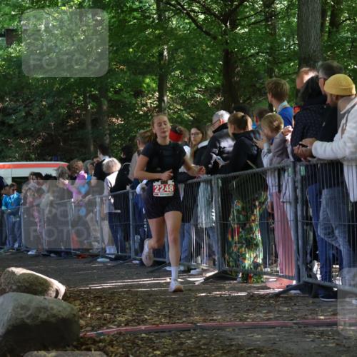 28.09.2025 - 33. Volkslauf durch das schöne Alstertal Strokosch-Dieckow http://msf.ph/oto/8972729 28.09.2025 12:03:55 Ziel 2248, 2347 meine-sportfotos.de