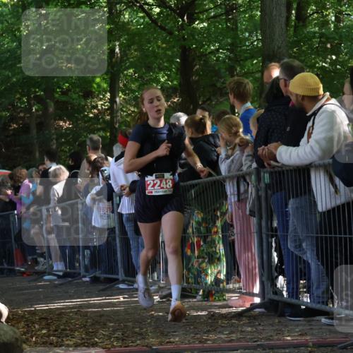 28.09.2025 - 33. Volkslauf durch das schöne Alstertal Strokosch-Dieckow http://msf.ph/oto/8972730 28.09.2025 12:03:56 Ziel 2248, 2347 meine-sportfotos.de
