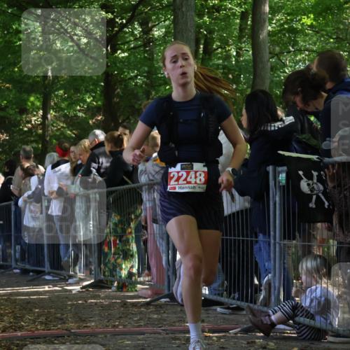 28.09.2025 - 33. Volkslauf durch das schöne Alstertal Strokosch-Dieckow http://msf.ph/oto/8972732 28.09.2025 12:03:57 Ziel 1655, 2248, 2347 meine-sportfotos.de
