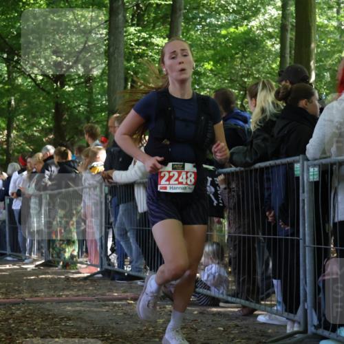 28.09.2025 - 33. Volkslauf durch das schöne Alstertal Strokosch-Dieckow http://msf.ph/oto/8972733 28.09.2025 12:03:58 Ziel 1655, 2248, 2347 meine-sportfotos.de