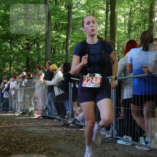 28.09.2025 - 33. Volkslauf durch das schöne Alstertal Strokosch-Dieckow http://msf.ph/oto/8972734 28.09.2025 12:03:58 Ziel 1655, 2248, 2347 meine-sportfotos.de