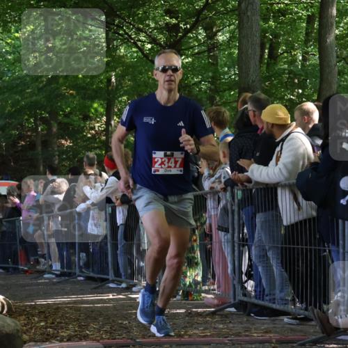 28.09.2025 - 33. Volkslauf durch das schöne Alstertal Strokosch-Dieckow http://msf.ph/oto/8972736 28.09.2025 12:04:00 Ziel 1655, 2347 meine-sportfotos.de