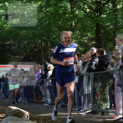 28.09.2025 - 33. Volkslauf durch das schöne Alstertal Strokosch-Dieckow http://msf.ph/oto/8972740 28.09.2025 12:04:05 Ziel 1655, 1675, 2444 meine-sportfotos.de