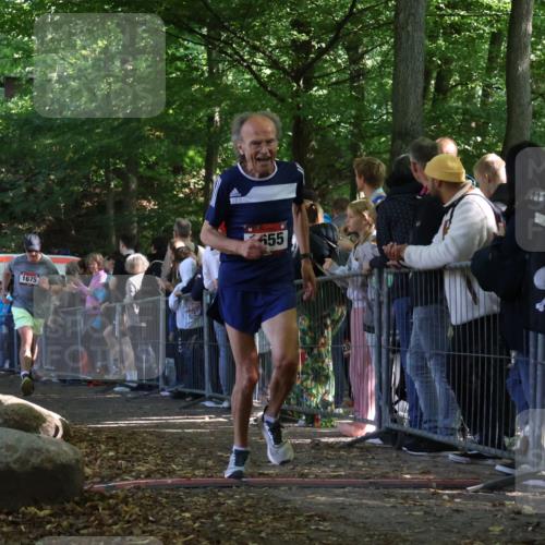 28.09.2025 - 33. Volkslauf durch das schöne Alstertal Strokosch-Dieckow http://msf.ph/oto/8972741 28.09.2025 12:04:06 Ziel 1655, 1675, 2444 meine-sportfotos.de