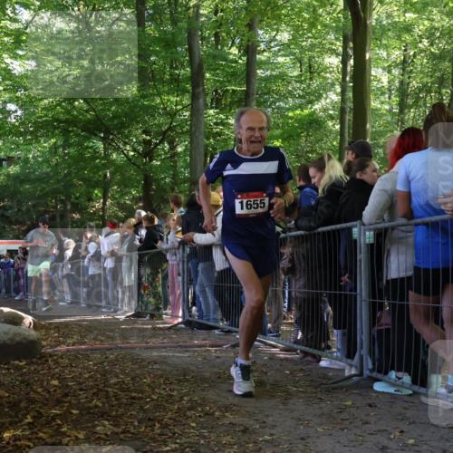 28.09.2025 - 33. Volkslauf durch das schöne Alstertal Strokosch-Dieckow http://msf.ph/oto/8972743 28.09.2025 12:04:07 Ziel 1655, 1675, 2444 meine-sportfotos.de
