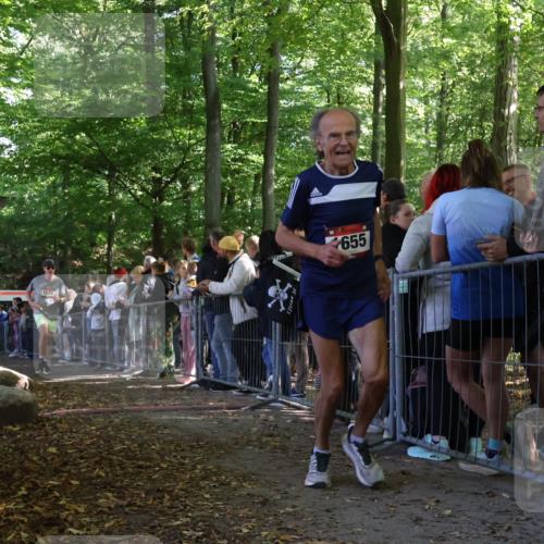 28.09.2025 - 33. Volkslauf durch das schöne Alstertal Strokosch-Dieckow http://msf.ph/oto/8972744 28.09.2025 12:04:07 Ziel 1655, 1675, 2444 meine-sportfotos.de