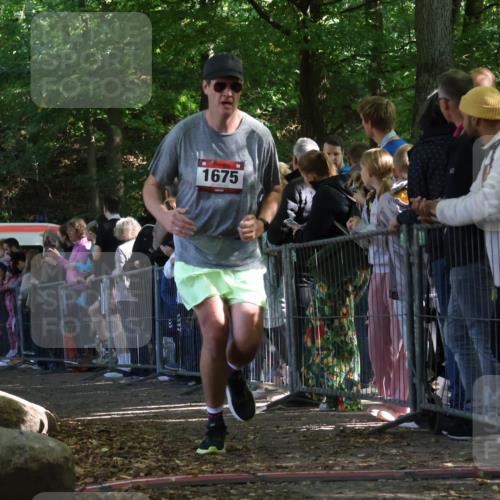28.09.2025 - 33. Volkslauf durch das schöne Alstertal Strokosch-Dieckow http://msf.ph/oto/8972746 28.09.2025 12:04:09 Ziel 1675, 2444 meine-sportfotos.de
