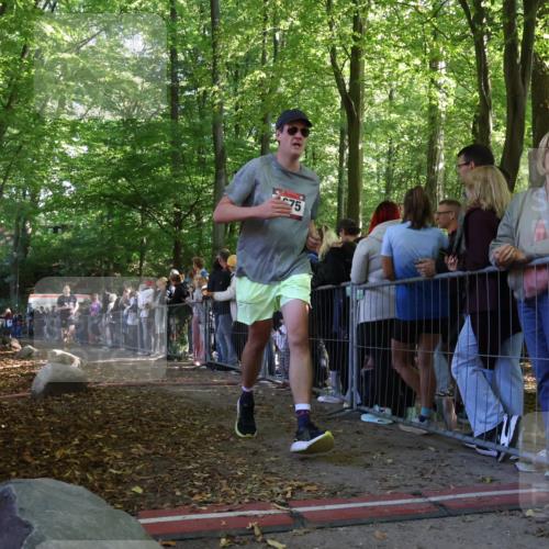 28.09.2025 - 33. Volkslauf durch das schöne Alstertal Strokosch-Dieckow http://msf.ph/oto/8972749 28.09.2025 12:04:11 Ziel 1675, 2444 meine-sportfotos.de