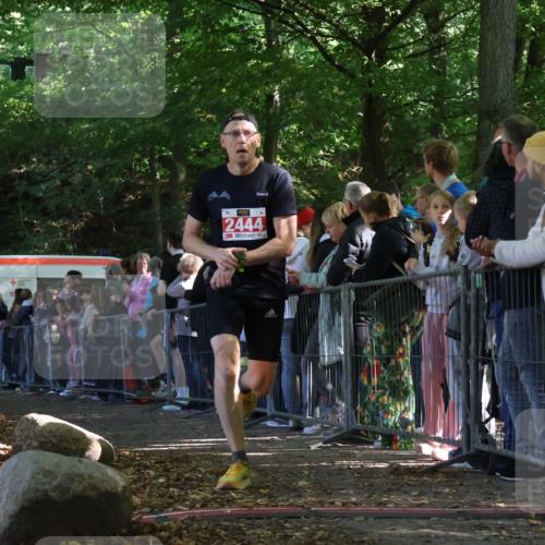 28.09.2025 - 33. Volkslauf durch das schöne Alstertal Strokosch-Dieckow http://msf.ph/oto/8972752 28.09.2025 12:04:13 Ziel 2444 meine-sportfotos.de