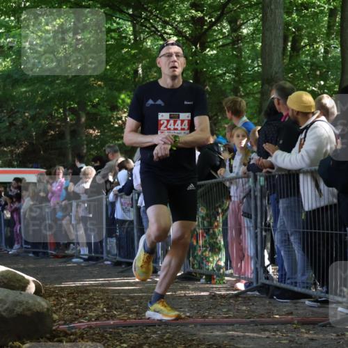 28.09.2025 - 33. Volkslauf durch das schöne Alstertal Strokosch-Dieckow http://msf.ph/oto/8972753 28.09.2025 12:04:14 Ziel 1044, 2444 meine-sportfotos.de