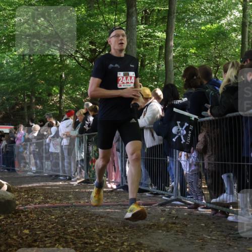 28.09.2025 - 33. Volkslauf durch das schöne Alstertal Strokosch-Dieckow http://msf.ph/oto/8972754 28.09.2025 12:04:14 Ziel 1044, 2444 meine-sportfotos.de