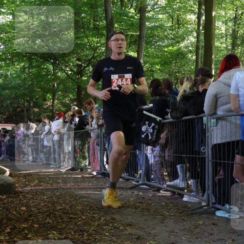 28.09.2025 - 33. Volkslauf durch das schöne Alstertal Strokosch-Dieckow http://msf.ph/oto/8972755 28.09.2025 12:04:15 Ziel 1044, 2444 meine-sportfotos.de