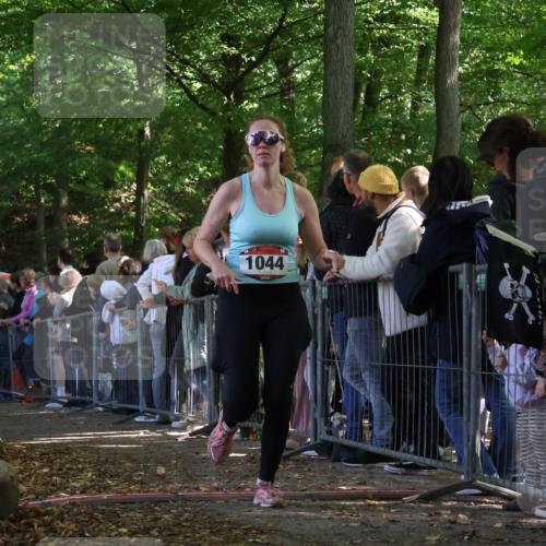 28.09.2025 - 33. Volkslauf durch das schöne Alstertal Strokosch-Dieckow http://msf.ph/oto/8972757 28.09.2025 12:04:22 Ziel 1044 meine-sportfotos.de